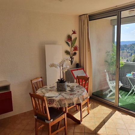 Gréoux-les-Bains La Vue Du Chateau - Tout Confort מראה חיצוני תמונה